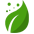Yuyo