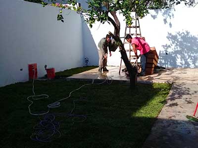 Trabajos recientes