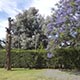 Jardín