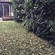 Jardín