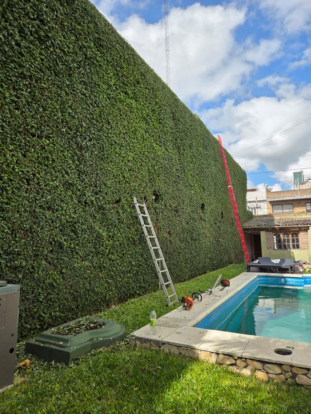 Mantenimiento de muro vegetal