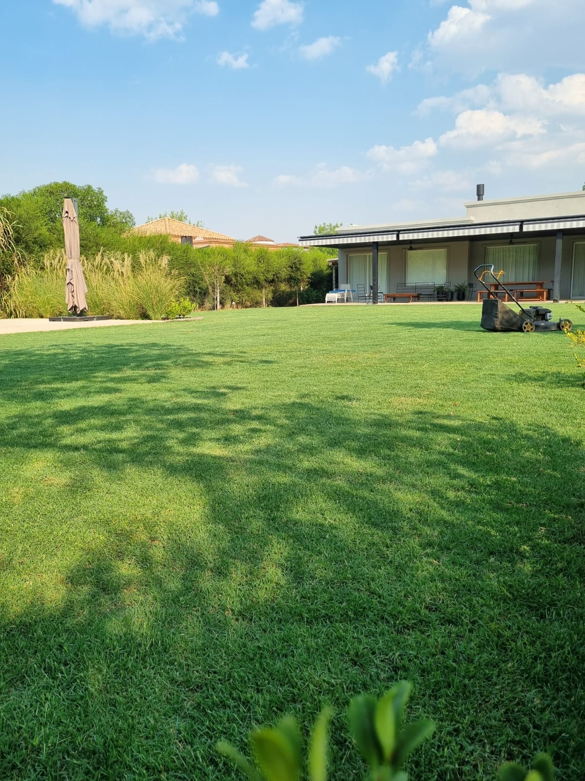 Parque mantenido por Ficarra Hnos