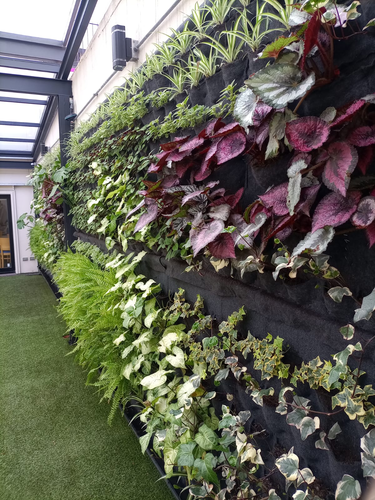 Jardín vertical